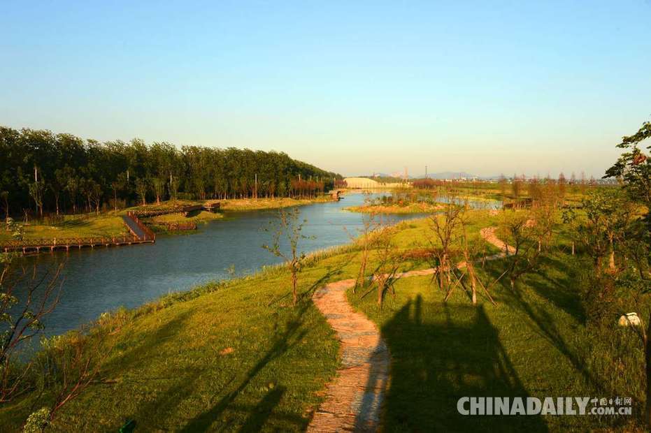 退耕還林還出國家級森林公園（組圖）