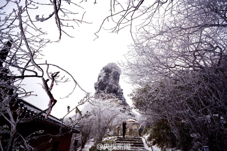 貴州梵凈山現(xiàn)霧凇美景 宛如仙境（組圖）