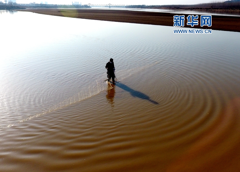 航拍黃河濟(jì)南段的捕魚人：隨波逐流亦生活（組圖）