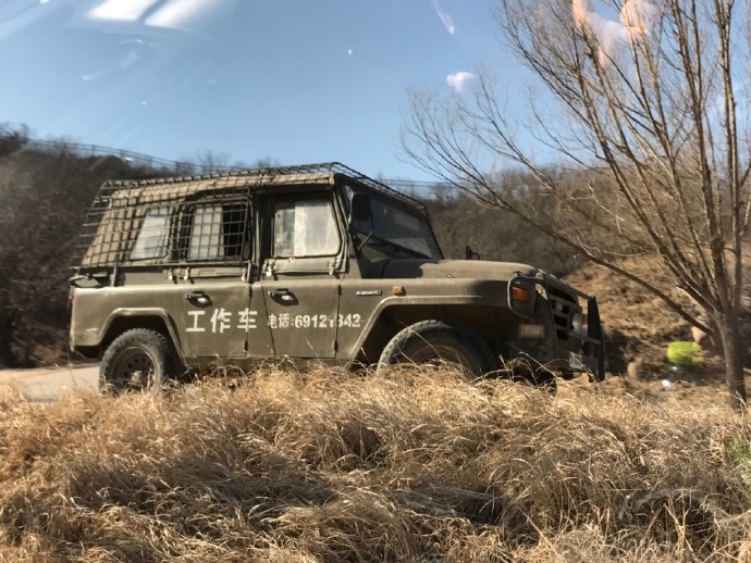 游覽轎車遭黑熊圍堵 熊爪伸進(jìn)車內(nèi)討要食物