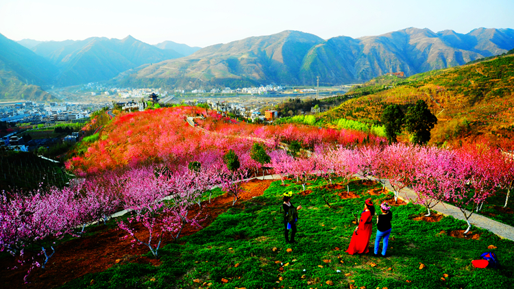 《三生三世》已完結(jié) 西安附近哪里能去看桃花？