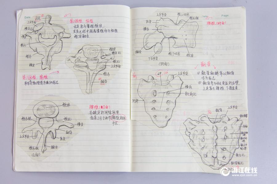 厲害了妹子！杭州大二女生解剖學筆記驚艷走紅