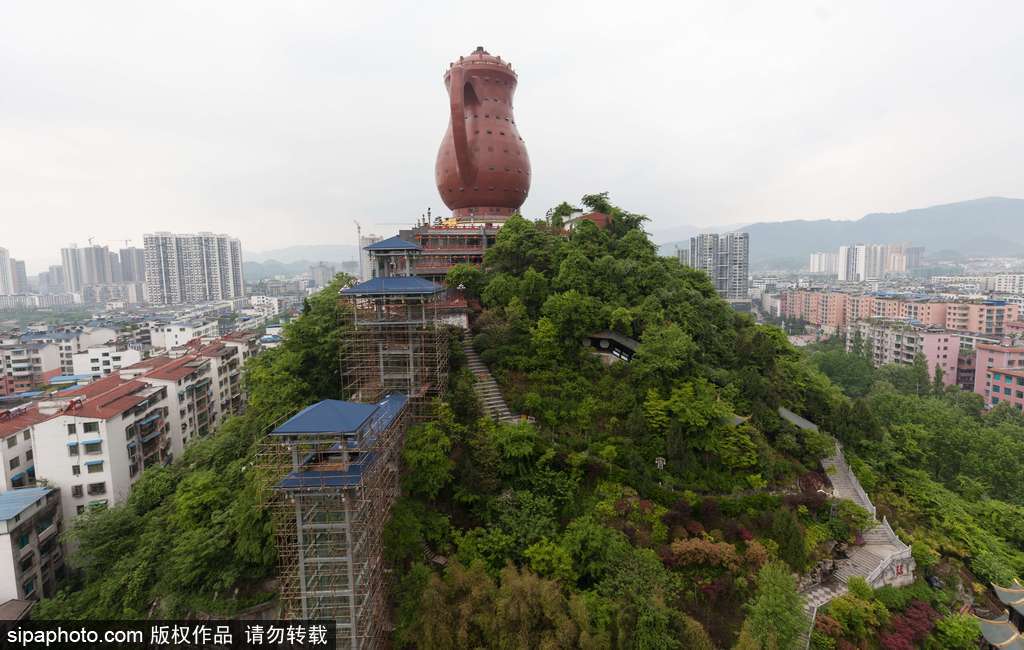 走近貴州遵義茶園 “蒼翠如海”