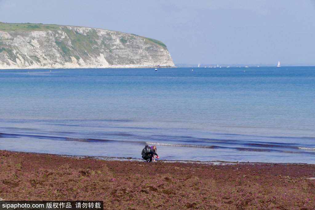 英國(guó)多塞特海邊落日 日光昏黃寧?kù)o絕美