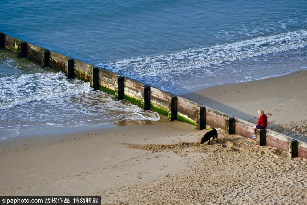 英國多塞特海邊落日 日光昏黃寧靜絕美