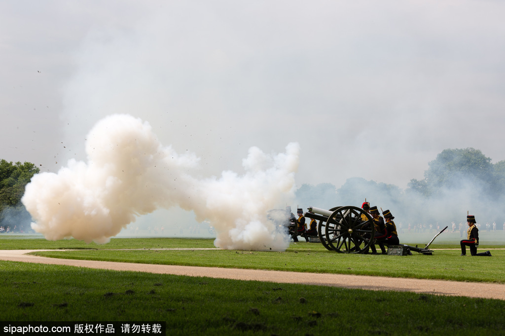 英國皇家騎兵鳴禮炮紀念女王伊麗莎白二世加冕64周年