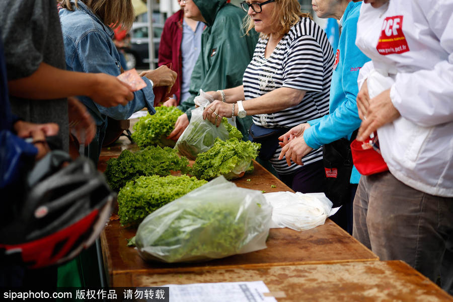 歐洲毒雞蛋丑聞之際 法國(guó)“農(nóng)夫市集”直銷蔬果搶購(gòu)一空