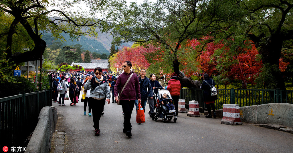 北京香山景區(qū)觀紅葉正好 游客絡(luò)繹不絕