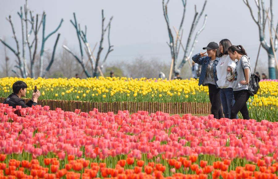 春暖花開惹人醉