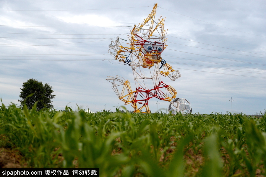 要不要這么萌！俄羅斯路邊一電力塔變身世界杯吉祥物