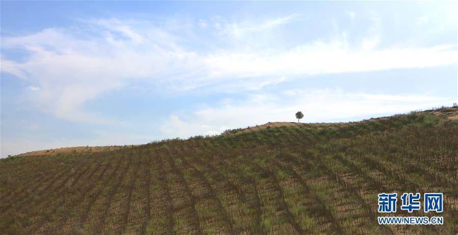 庫布其首條穿沙公路 矗立在大漠的無形豐碑