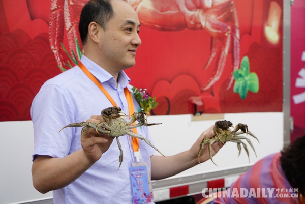 2018中國(guó)蘇州陽(yáng)澄湖大閘蟹開捕節(jié)在“蟹都”巴城開幕