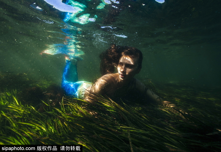 俄羅斯符拉迪沃斯托克：“美人魚”模特水中拍照再現童話場景