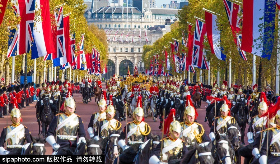 荷蘭國王攜王后對英國倫敦進行國事訪問 英國女王出席歡迎儀式